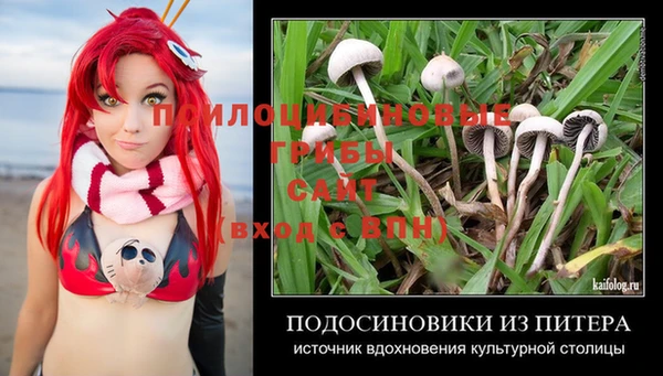 соль курить ск Алексин