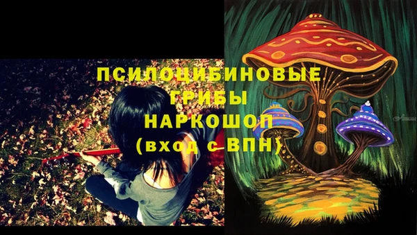 герыч Абаза