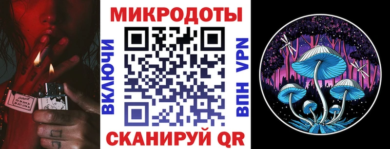 KRAKEN зеркало  Новотитаровская  Галлюциногенные грибы MAGIC MUSHROOMS 